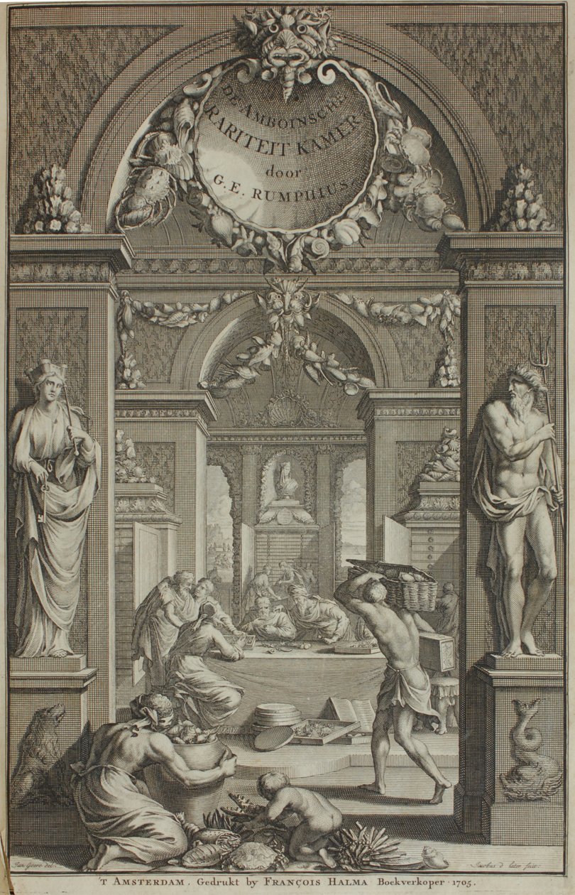 GE Rumphius, Amboinische Rariteikammer, Amsterdã 1705 de G. E. Rumphius