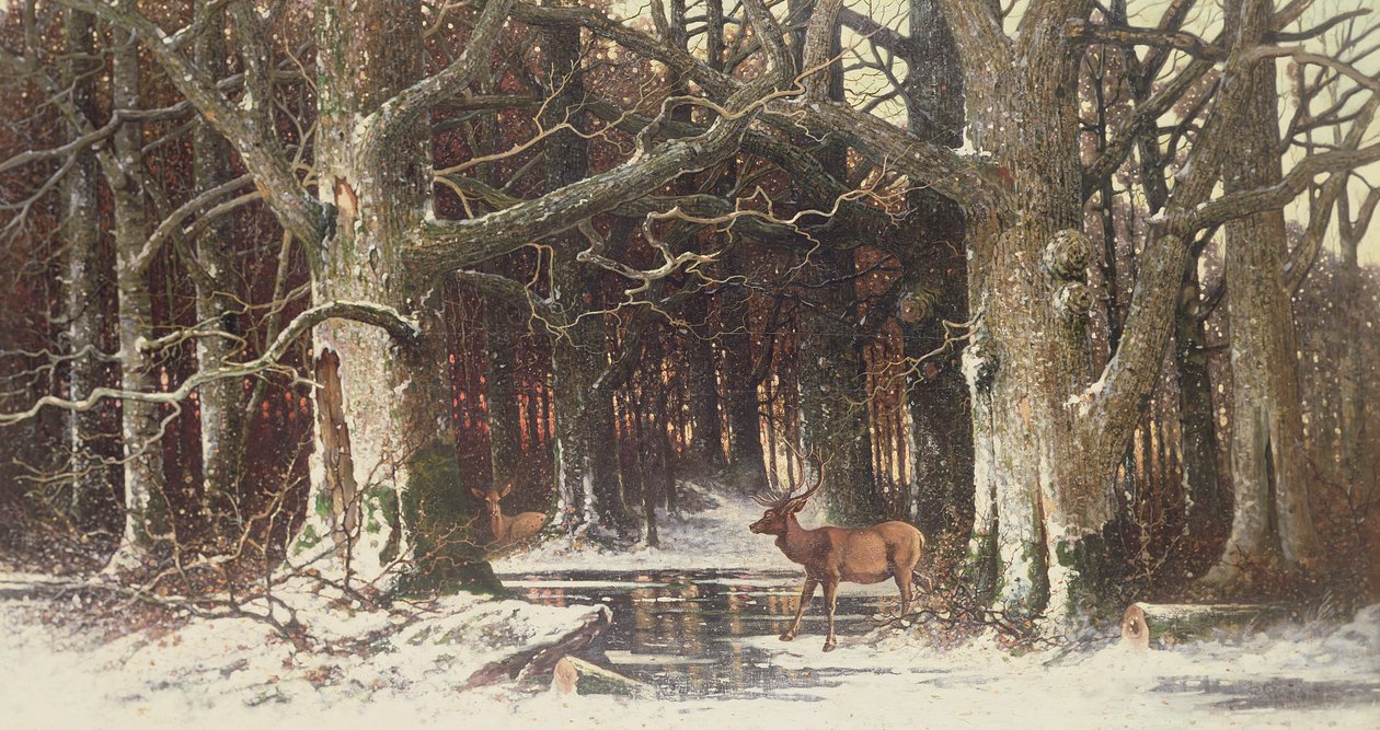 Veados na floresta, do século XIX de G. Schneyder