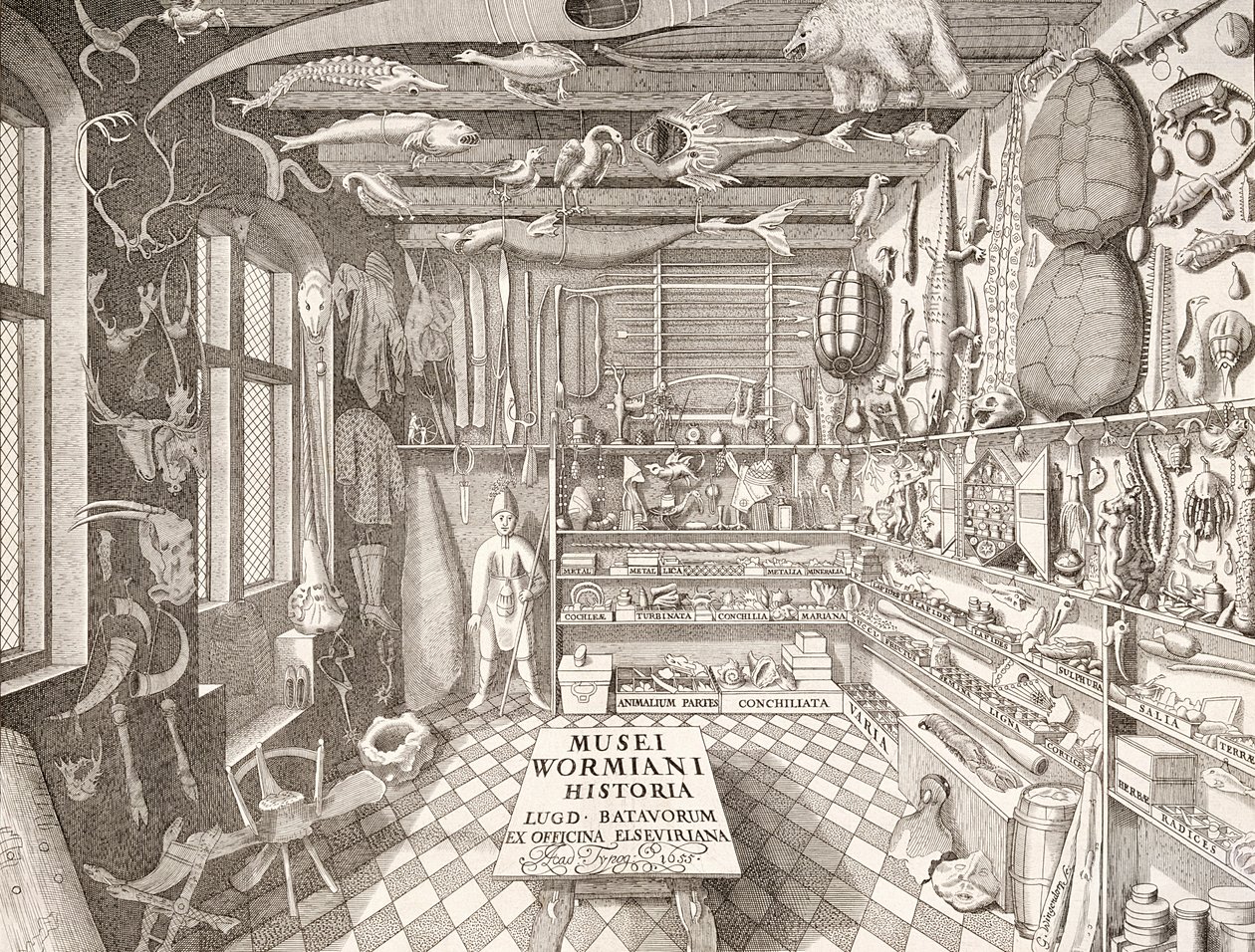 Museu do Ole Worm, Leiden, 1655 de G. Wingendorp
