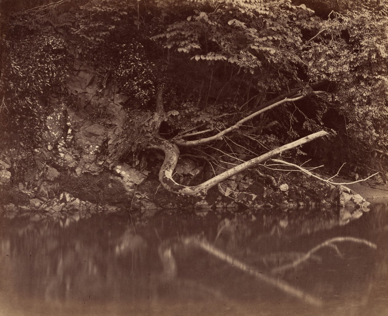 Margem do Rio no Vale de Neath, c. 1855. de G. B. Gething