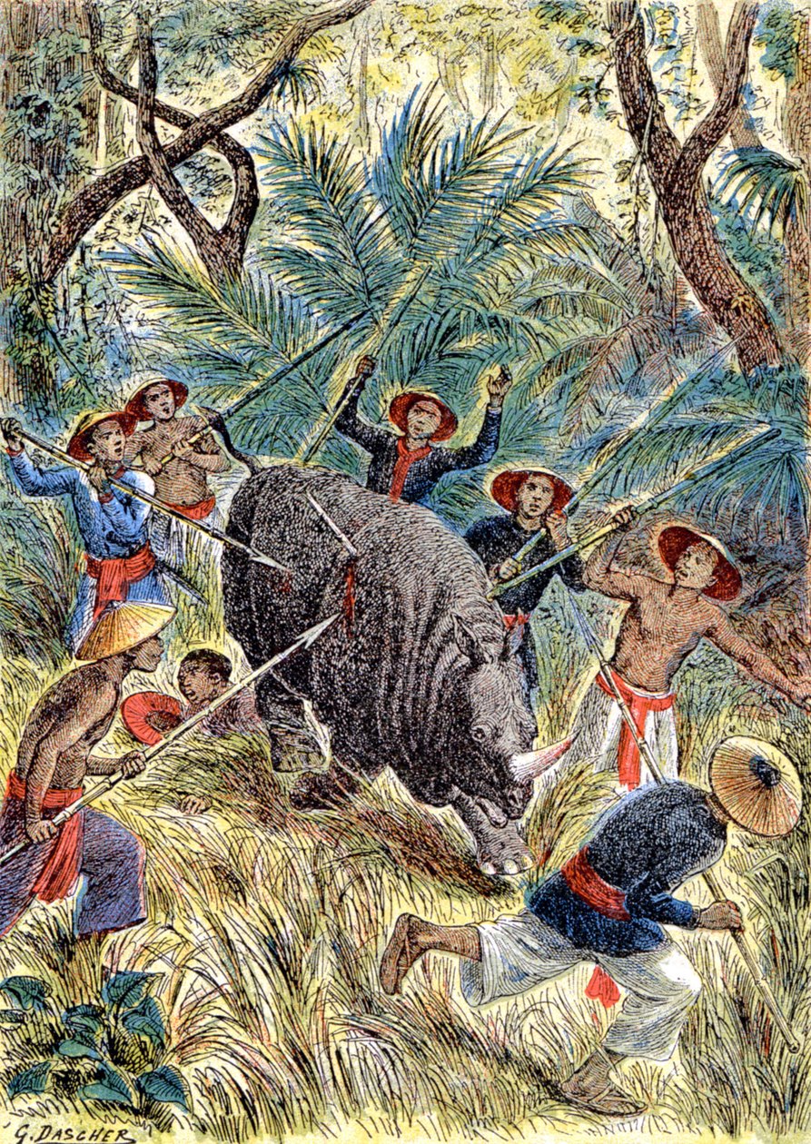 Caça ao rinoceronte, Indochina Francesa, c.1900 (ilustração) de G. Dascher