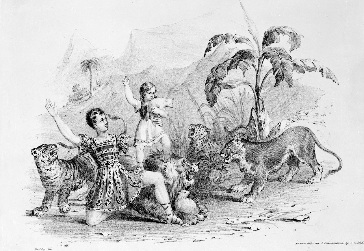 Isaac Van Amburgh domando um leão de G. E. Madeley