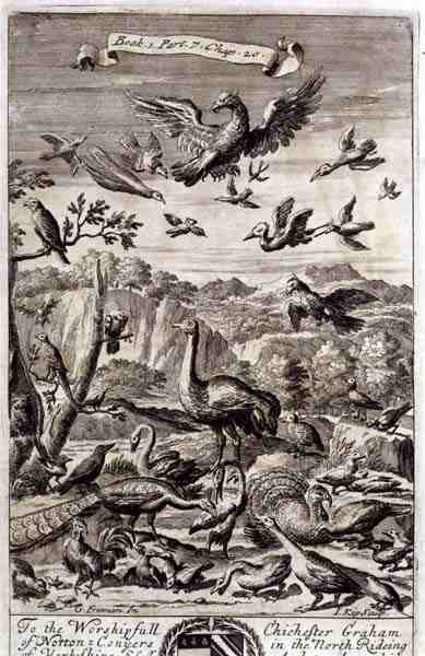 A Variety of Birds, ilustração do Livro 1 Parte 7 Capítulo 20 de "Os Princípios da Filosofia" de Anthony Le Grand, gravado por Johannes Kip (1652/3-1722) de G Freman