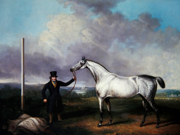 Cavalheiro segurando um cavalo de corrida cinza em um campo (óleo sobre tela) de G. Jackson
