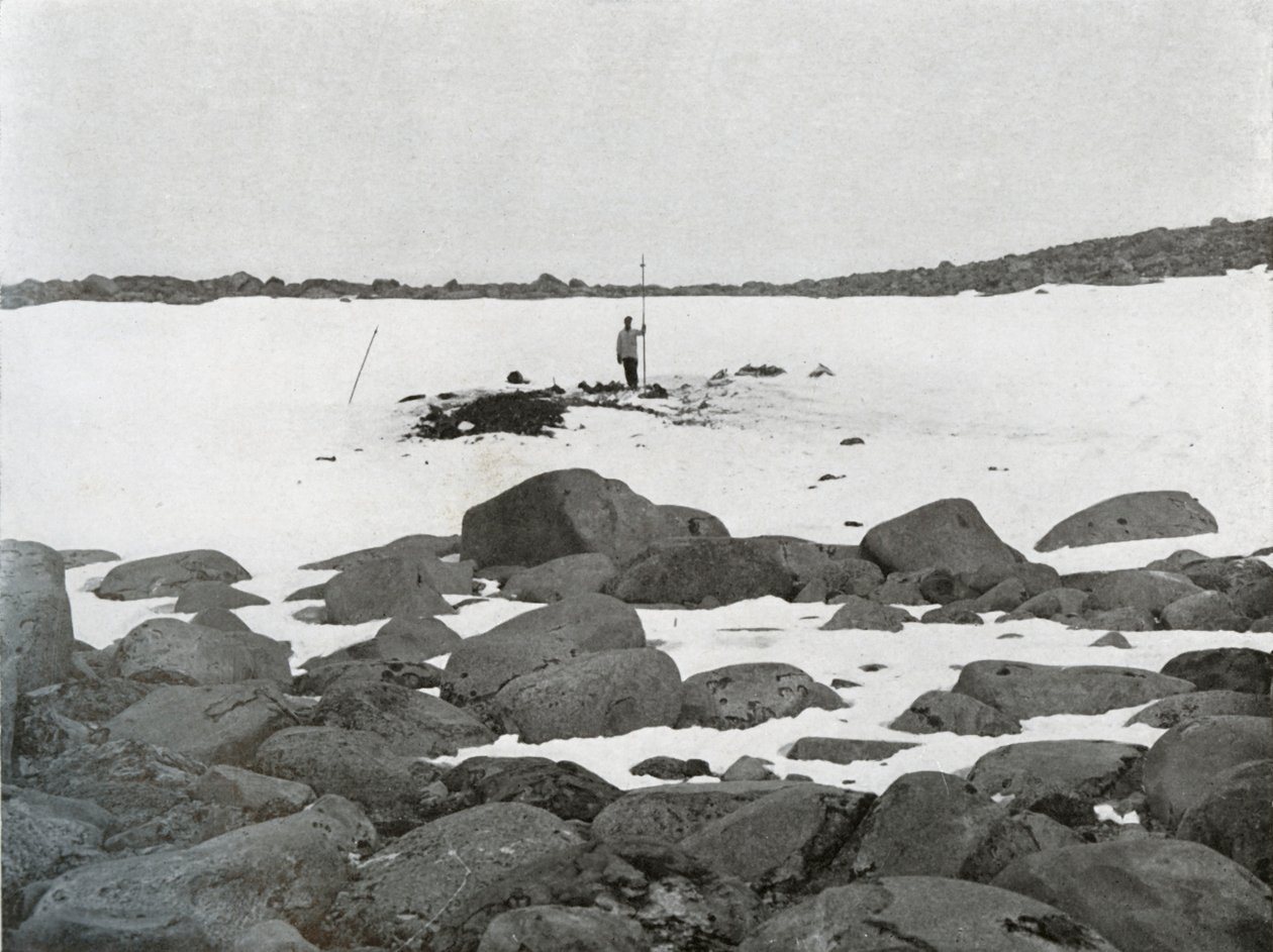 Exterior do iglu, c1911, 1913 de G. Murray Levick