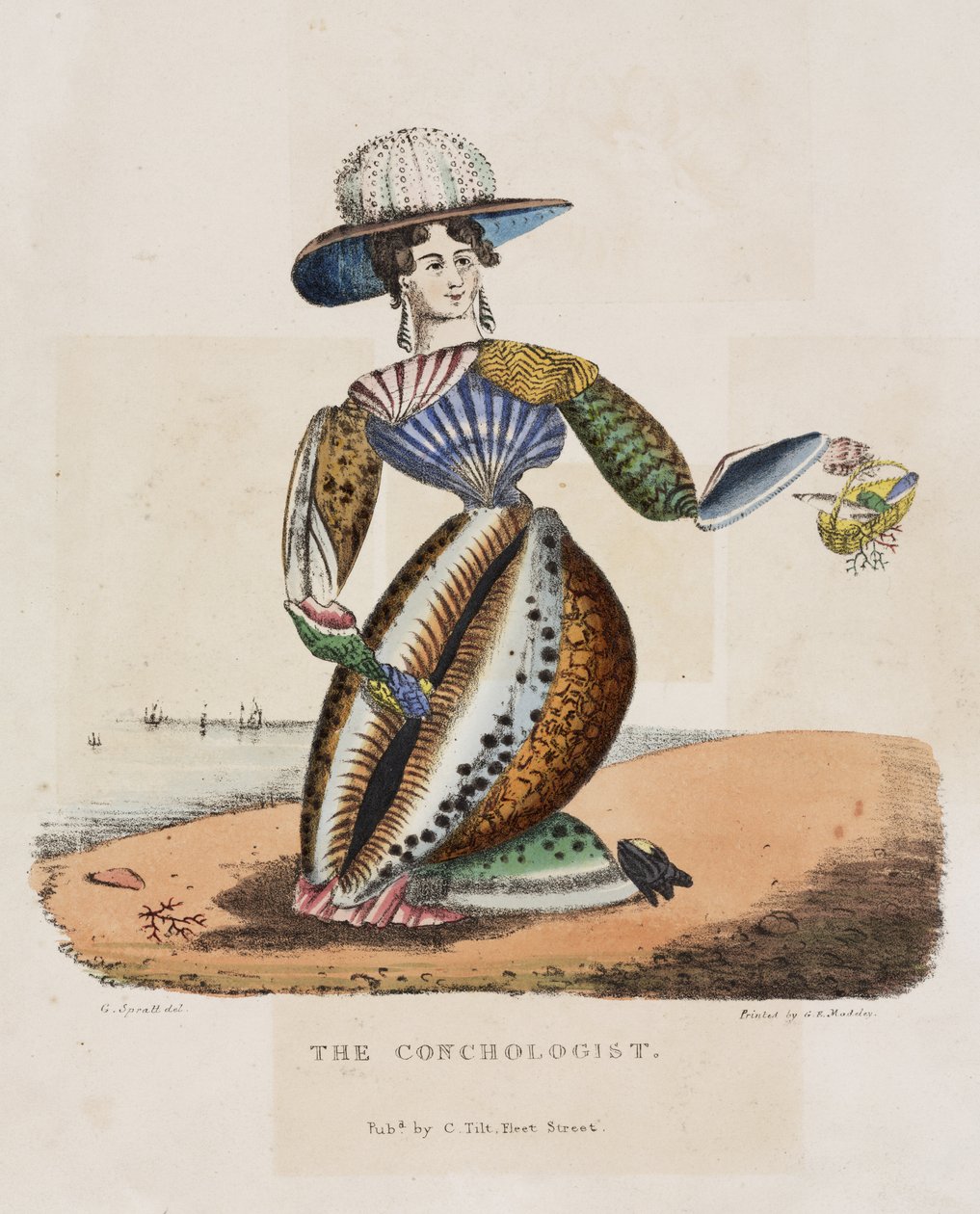 O Conchologist, c.1831 de G. Spratt