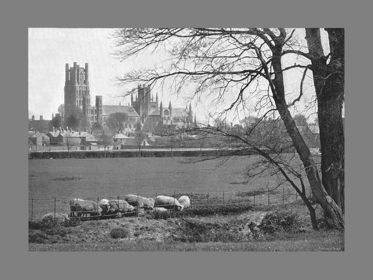 Catedral de Ely, c1900 de G. W. Wilson and Company