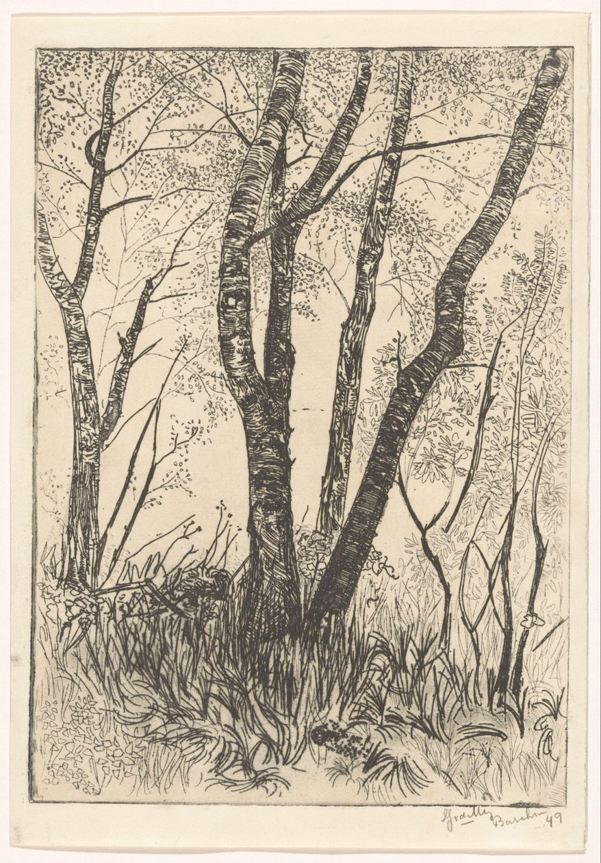 Árvores na grama alta de G. van der Mey (signed by artist)