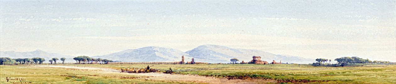 Campanha de Gabriel Carelli