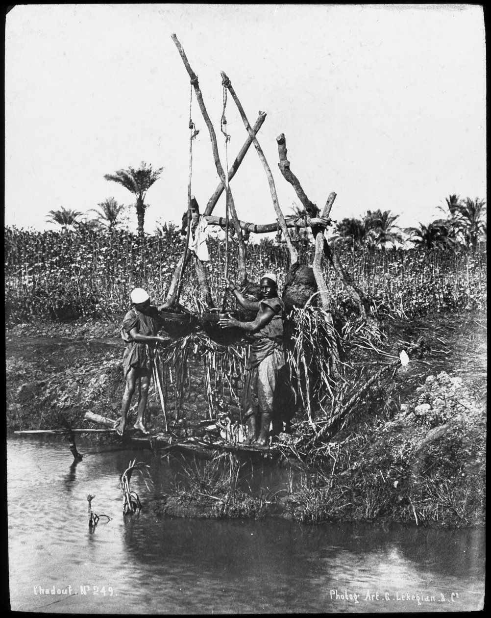 Um shaduf no Nilo, Egito, c1890 de Gabriel Lekegian