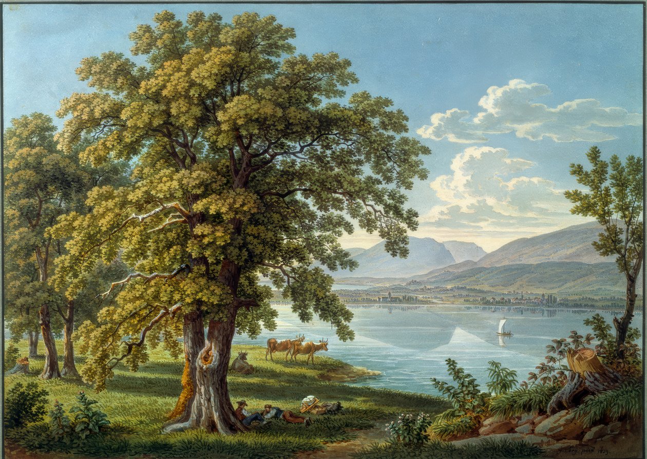 Vista da Ilha de São Pedro para o Lago de Biel de Gabriel Lory