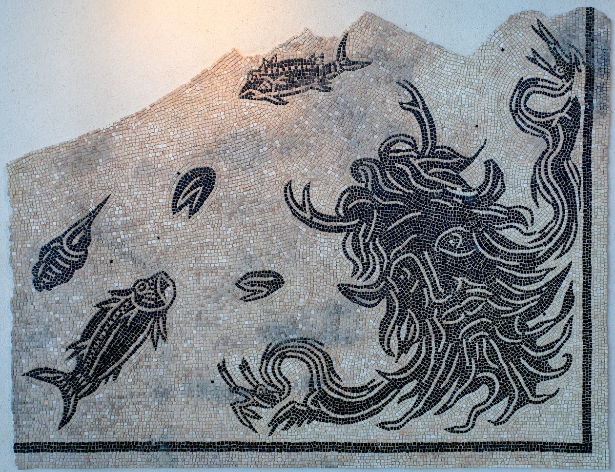 Mosaico representando a cabeça do deus do Oceano com animais marinhos de Gallo-Roman