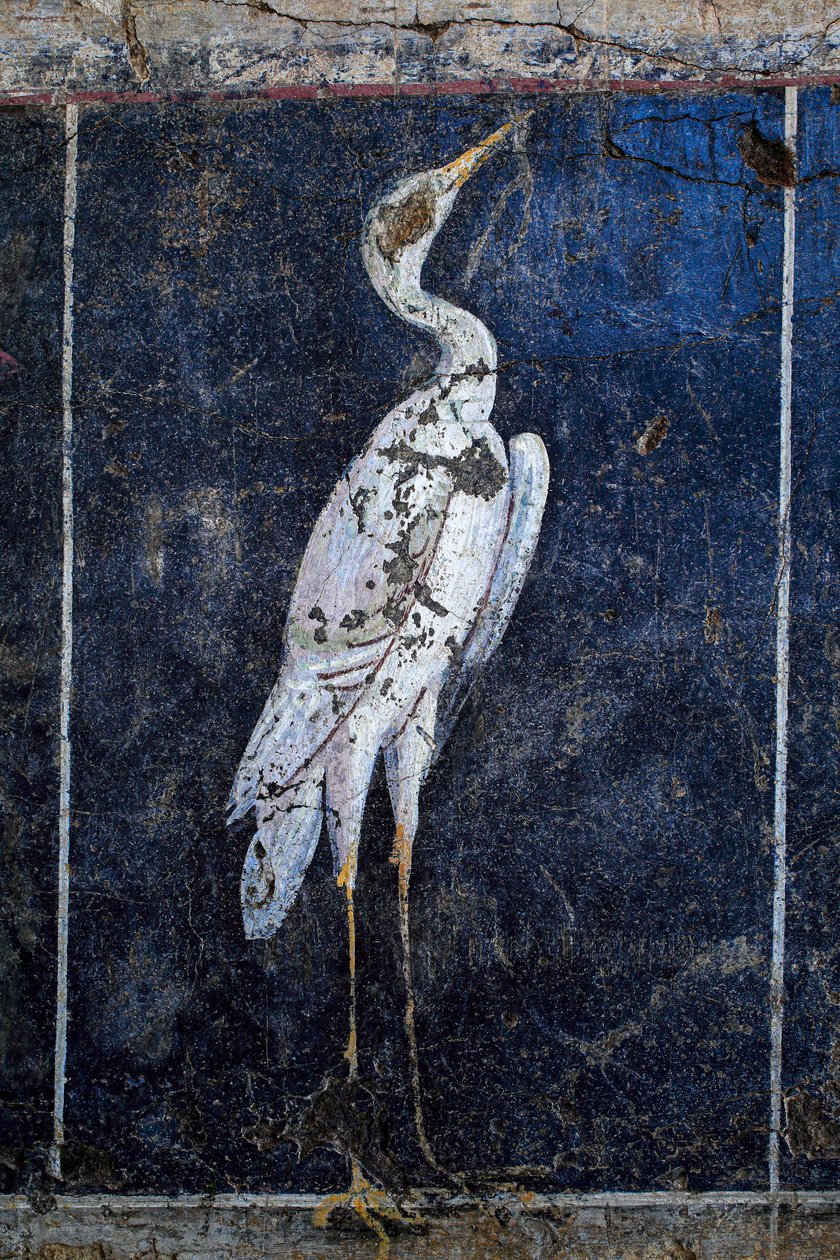 Pintura mural romana de Gallo-Roman