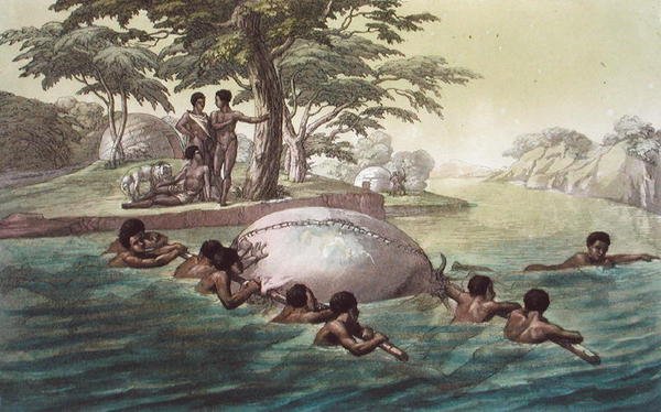 Gingri Tribesmen Crossing the River Zebee, placa 67 de 