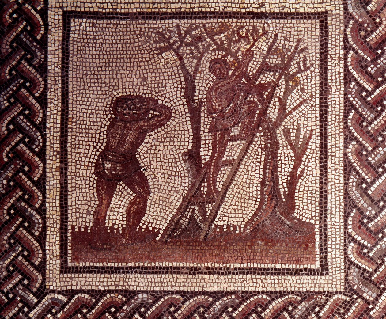 Gallo Roman Art: pavimentação em mosaico representando um calendário rústico. Cena de apanha da azeitona. Fim do século II, início do século III depois de JC. De Saint-Romain-en-Gal (Rhone). Saint Germain en Laye, Museu Nacional de Arqueologia. de Gallo Roman