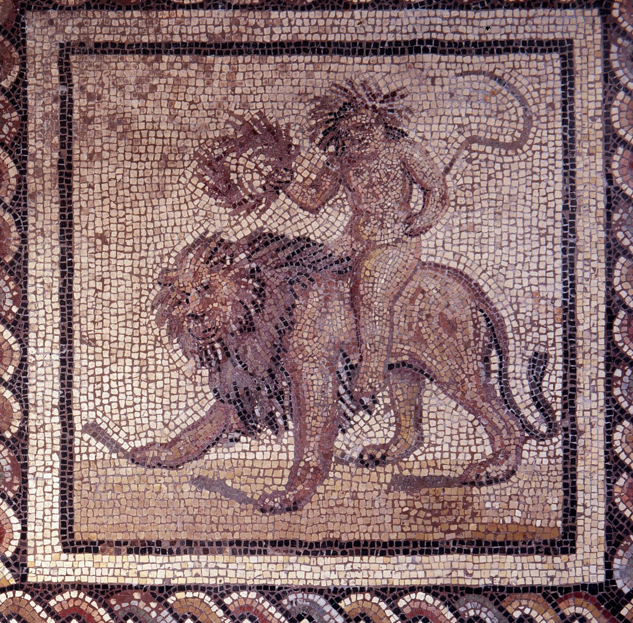 Gallo Roman Art: pavimentação em mosaico representando um calendário rústico. Alegoria de verão sobre um leão. Fim do século II, início do século III depois de JC. De Saint-Romain-en-Gal (Rhone). Saint Germain en Laye, Museu Nacional de Arqueologia. de Gallo Roman