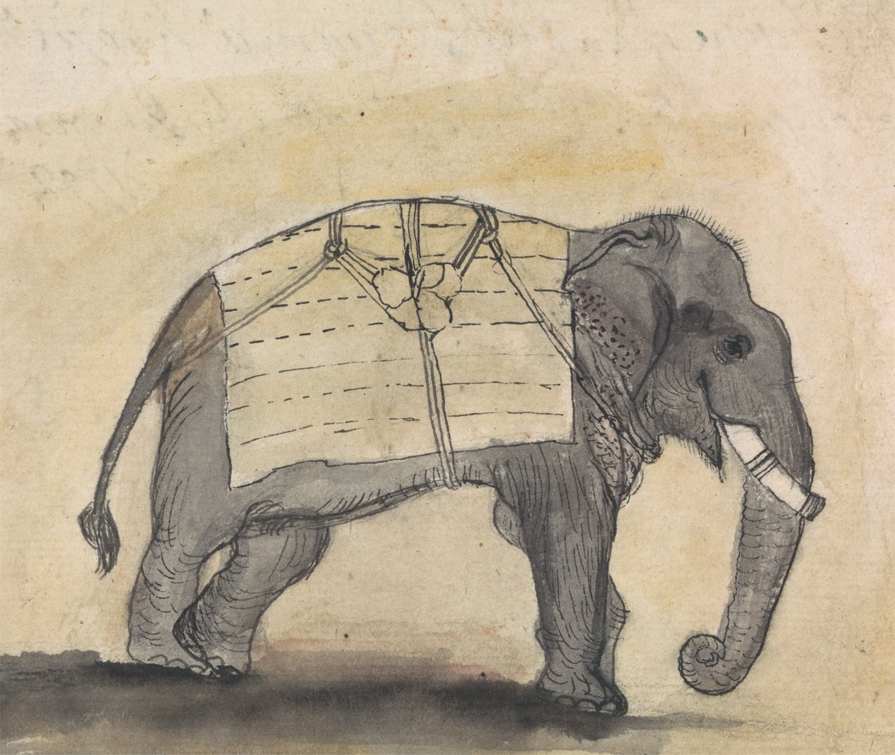 Elefante de Gangaram Chintaman Tambat