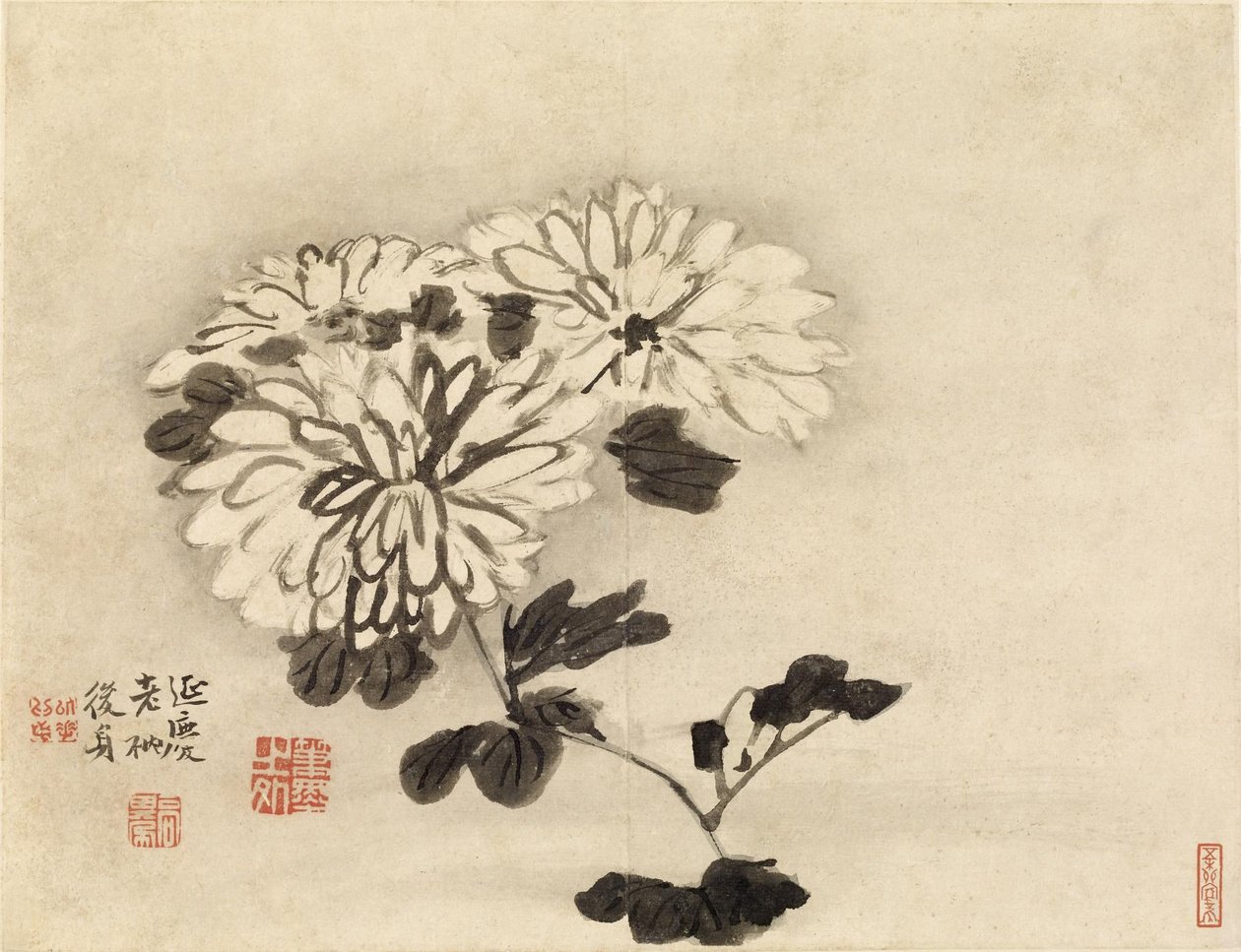 Crisântemos de Gao Qipei