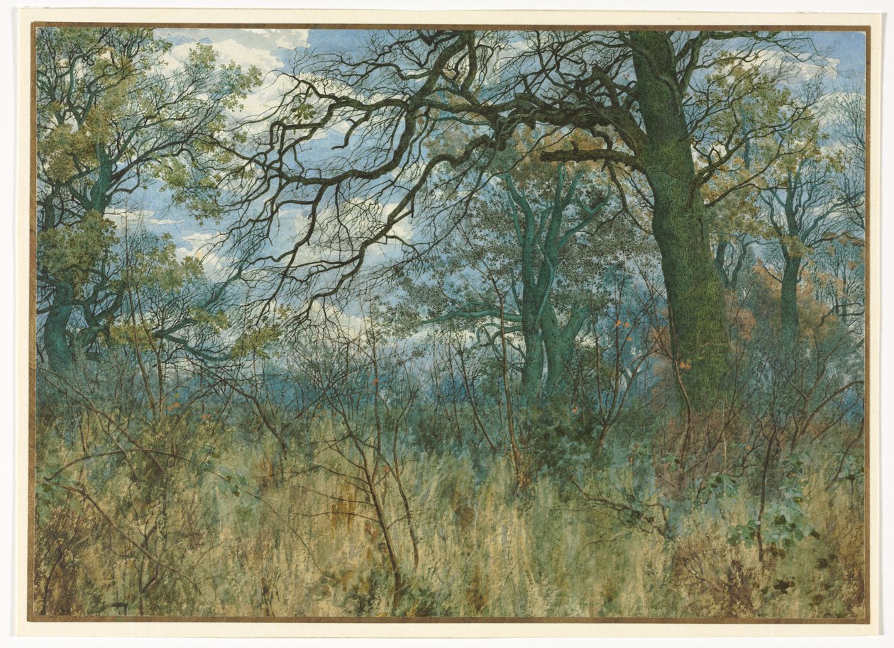 Árvores e vegetação rasteira de Garden William Fraser