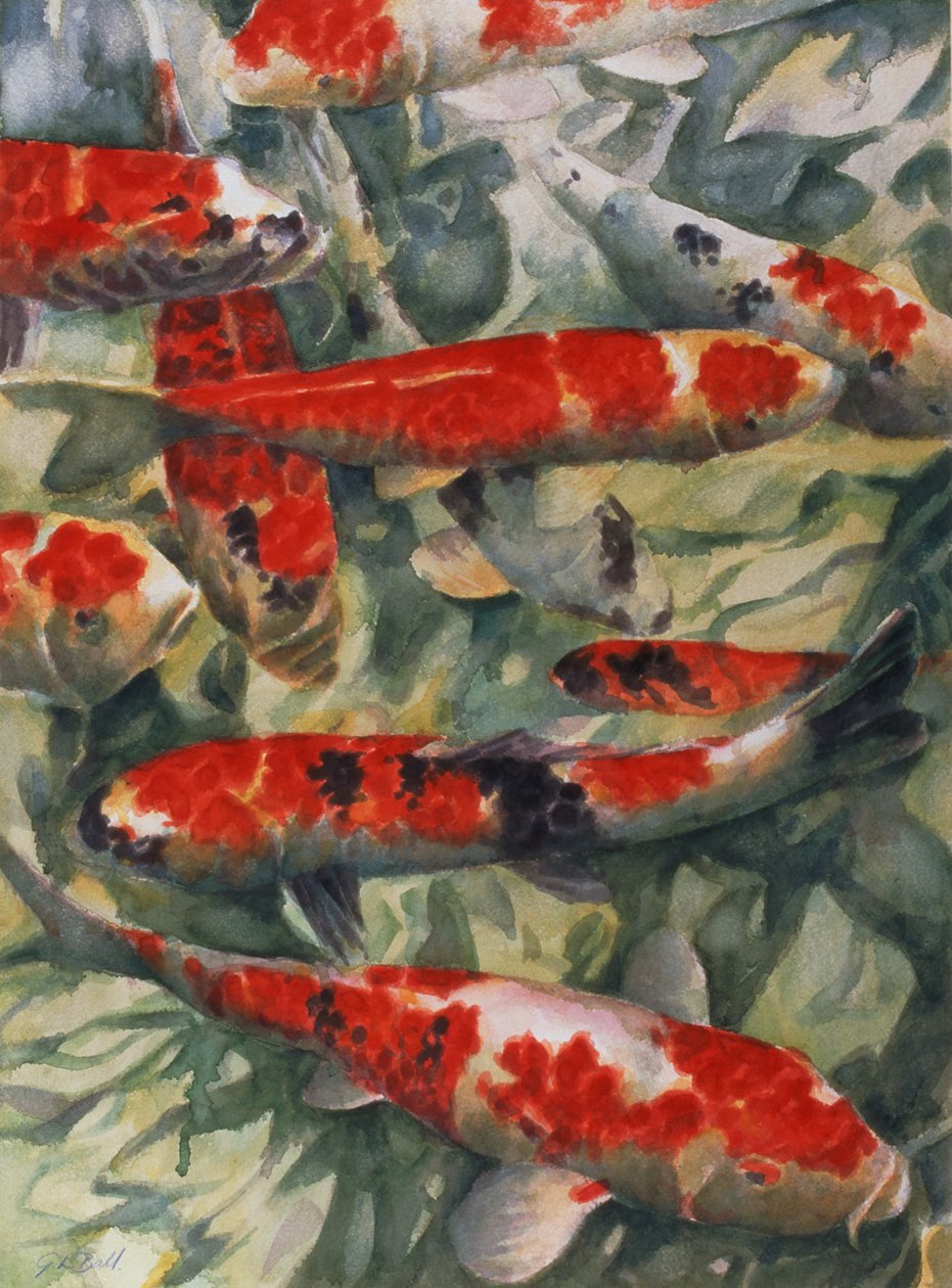 Koi Carp de Gareth Lloyd Ball