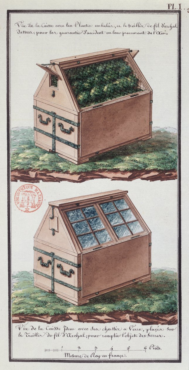 Ilustração de uma cômoda para transportar plantas, do caderno do artista, feita durante a expedição de Jean-François Gallup de la Perouse (1741-88) (caneta e tinta sobre papel) de Gaspard Duche de Vancy