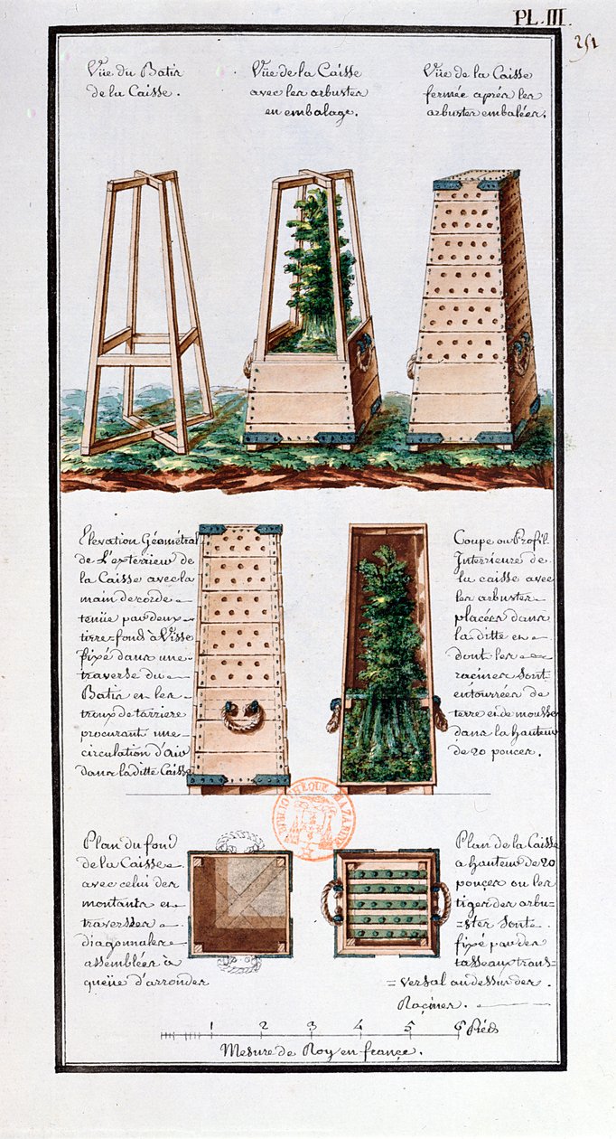 Ilustração de um gabinete especial para o transporte de arbustos e arbustos, do caderno do artista feito durante as expedições de Jean-François Gallup de la Perouse (1741-88) (caneta e tinta sobre papel de Gaspard Duche de Vancy
