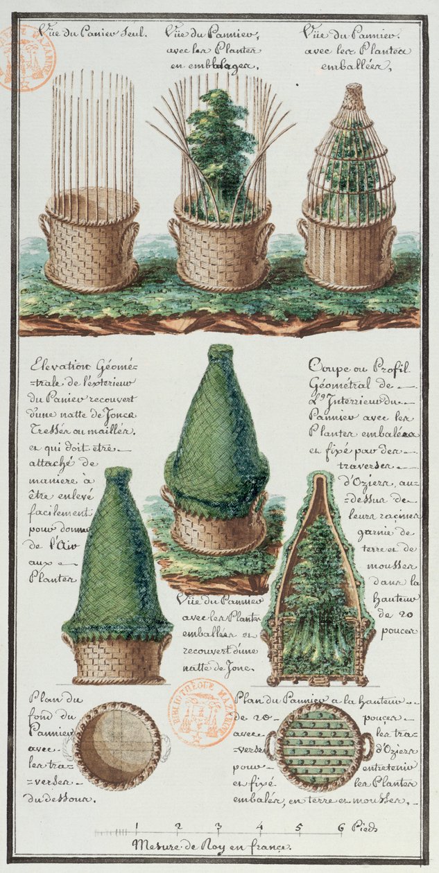 Ilustração de uma cesta tecida para transportar plantas, do caderno do artista, feita durante as expedições de Jean-François Gallup de la Perouse (1741-88) (caneta e tinta sobre papel) de Gaspard Duche de Vancy