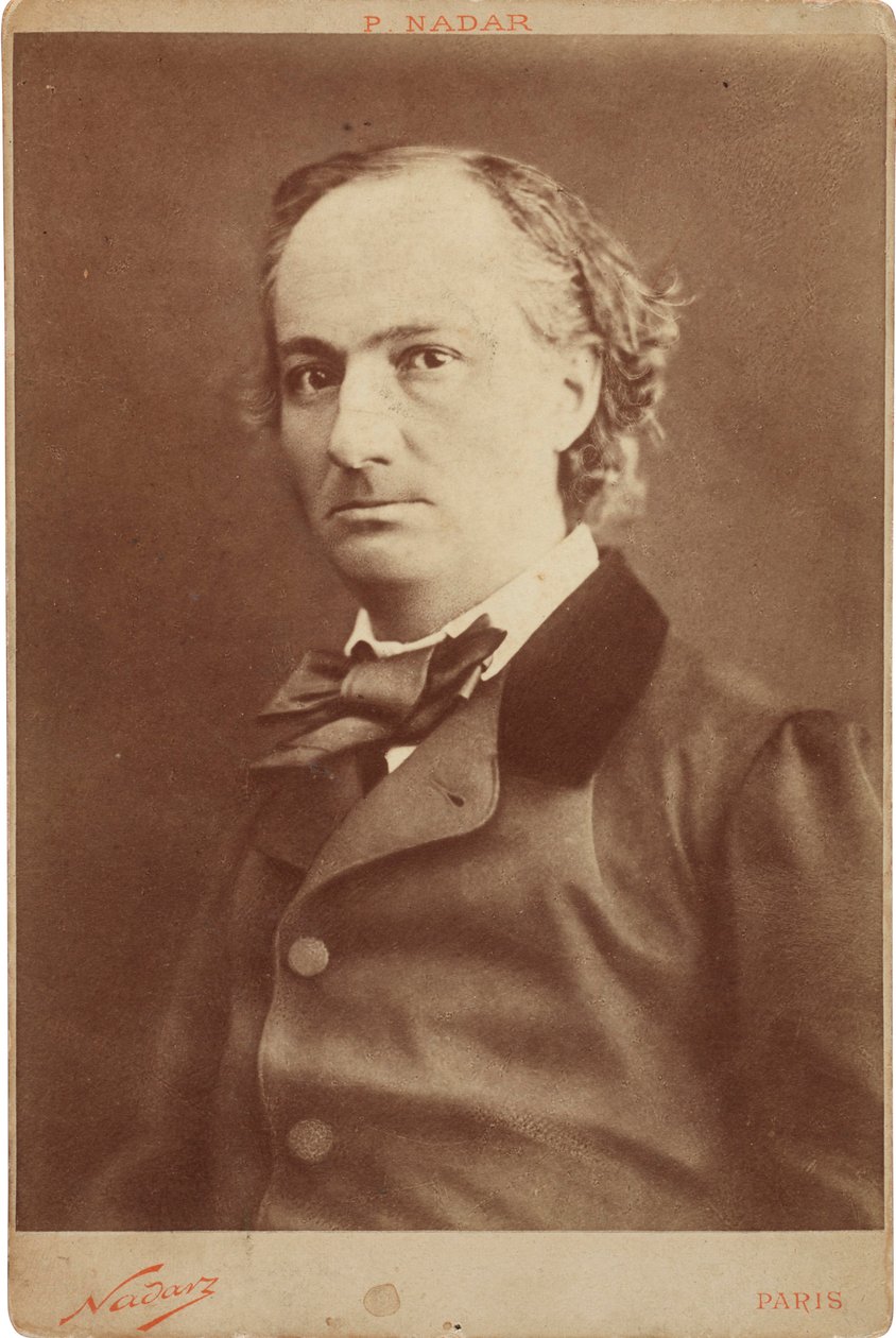 Floresta. de Gaspard Félix Nadar