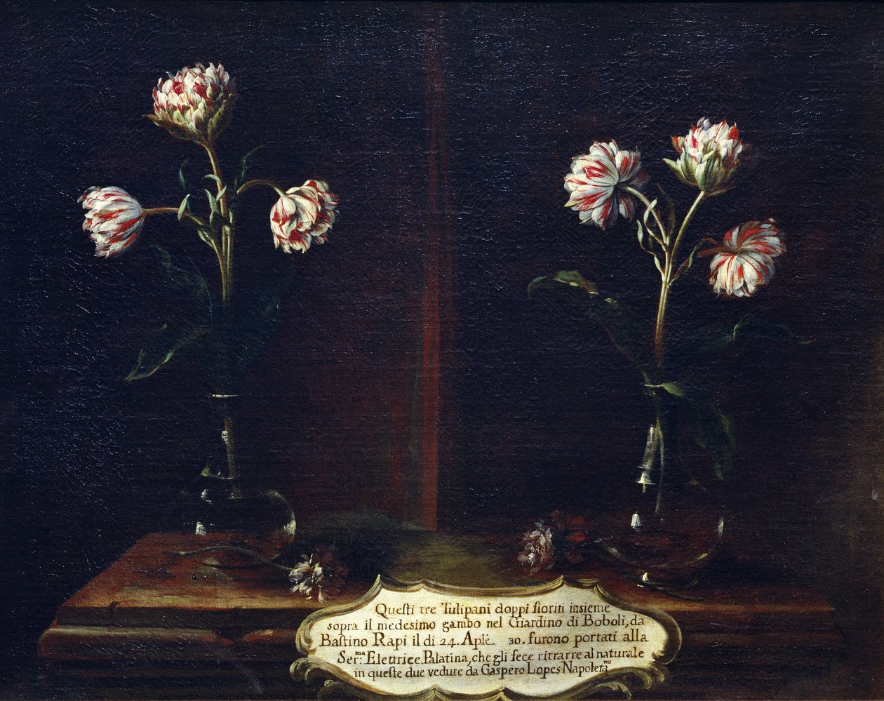 Tulipas de Gasparo Lopez