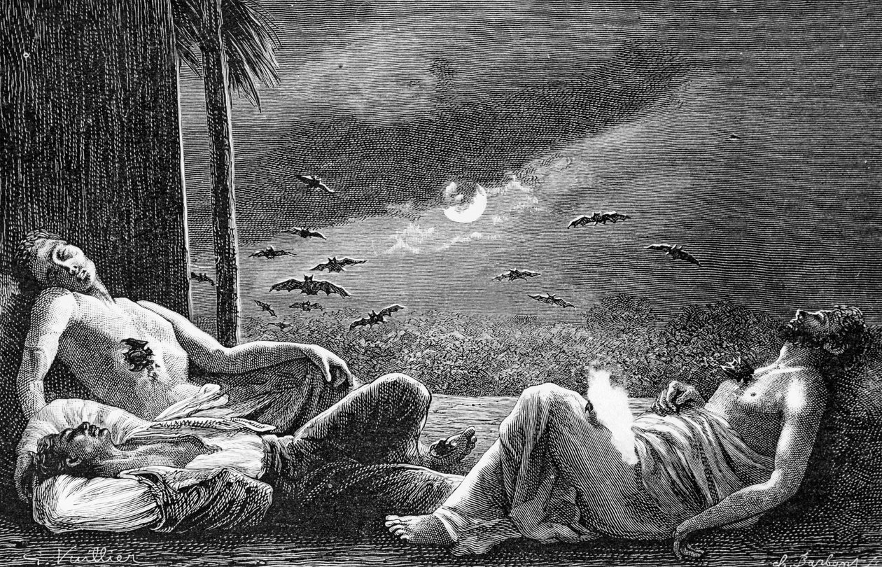 Morcegos Vampiros se alimentando de humanos adormecidos, c.1890 de Gaston Vuillier