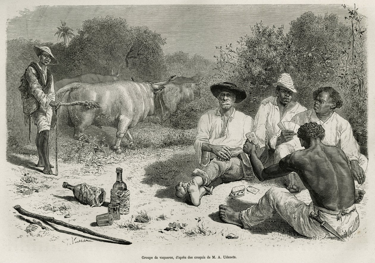 Um grupo de vaqueiros jogando cartas e bebendo álcool, perto de seus rebanhos de bois, gravados após um desenho de G.Vuillier, para ilustrar a história De Cayenne aux Andes, de Jules Crevaux, médico da marinha francesa, em 1878-1879, publicada no tour du m de Gaston Vuillier