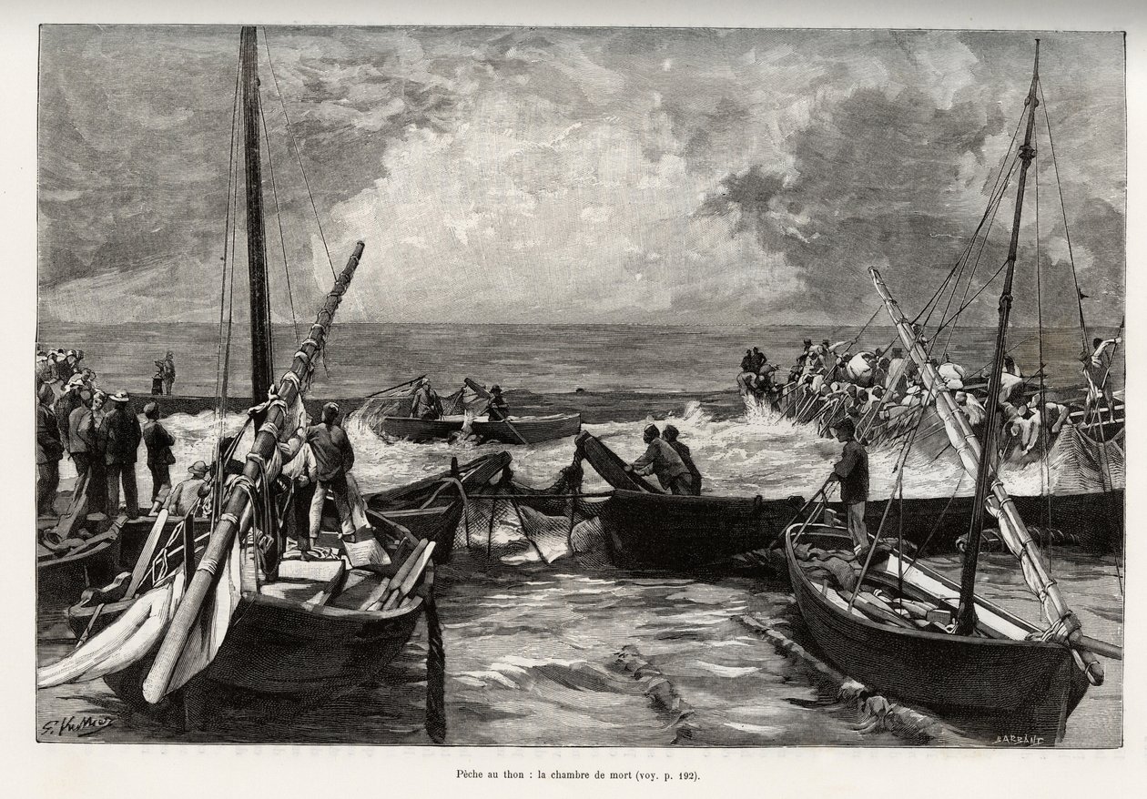 Pesca do atum (mattanza): a câmara da morte, prensas de atum num espaço apertado são cobertas pelos arpões dos pescadores. Gravura e história "La Sardaigne" de Gaston Vuillier (1845-1915), em 1890, em Le tour du monde, nouveau journal des voyages, under t de Gaston Vuillier