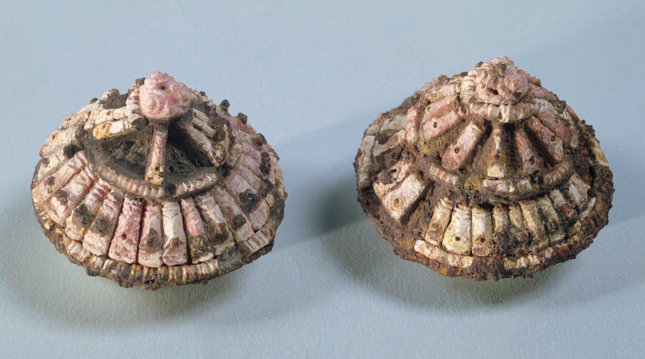 Chefes de um cavalo, de Chalons-sur-Marne, Tene I (475-300 aC) (metal e coral) de Gaulish