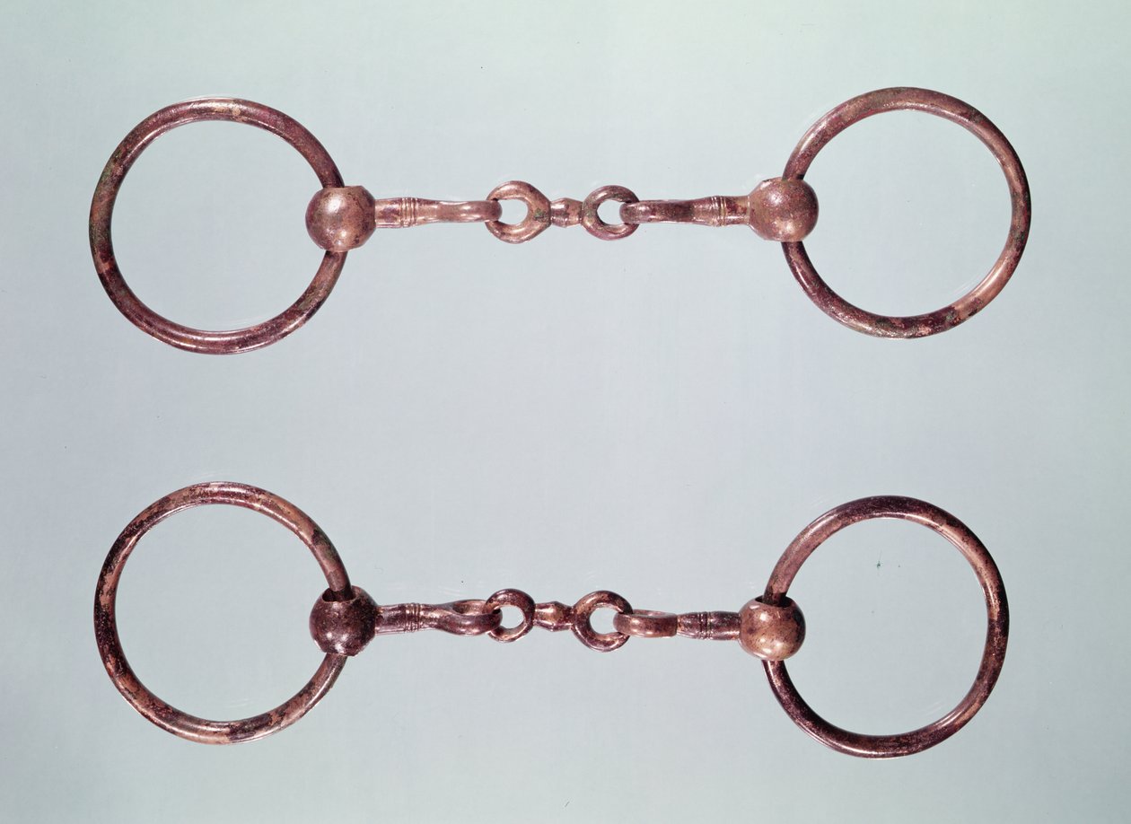 Pedaços de cavalo, de La Gorge-Meillet, Tene I (c.475-0 aC) (bronze) de Gaulish