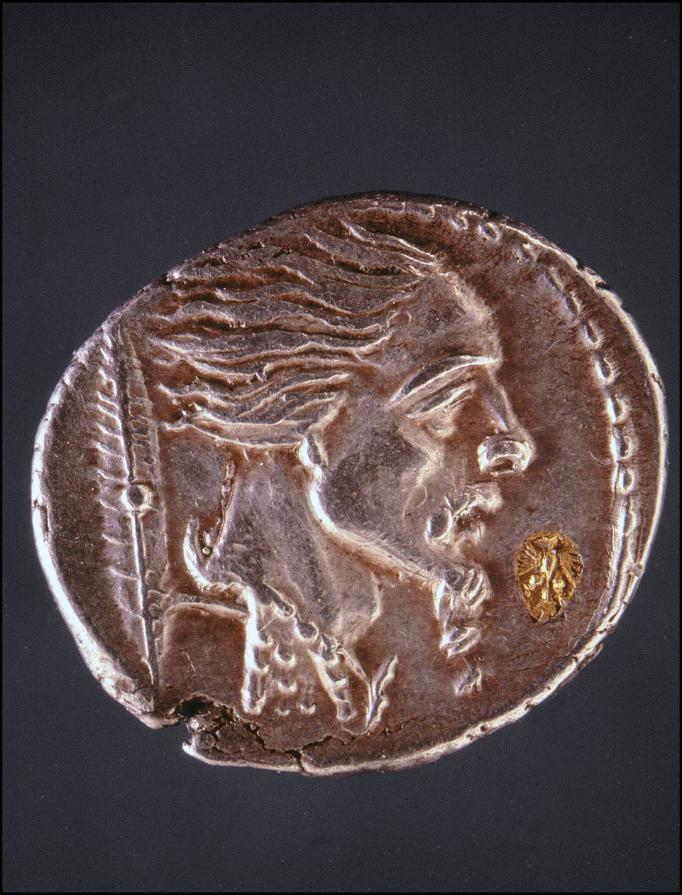 Presumir perfil de Vercingetorix numa peça de Gauloise. Museu de Medalhas. Milão de Gaulish Gaulish
