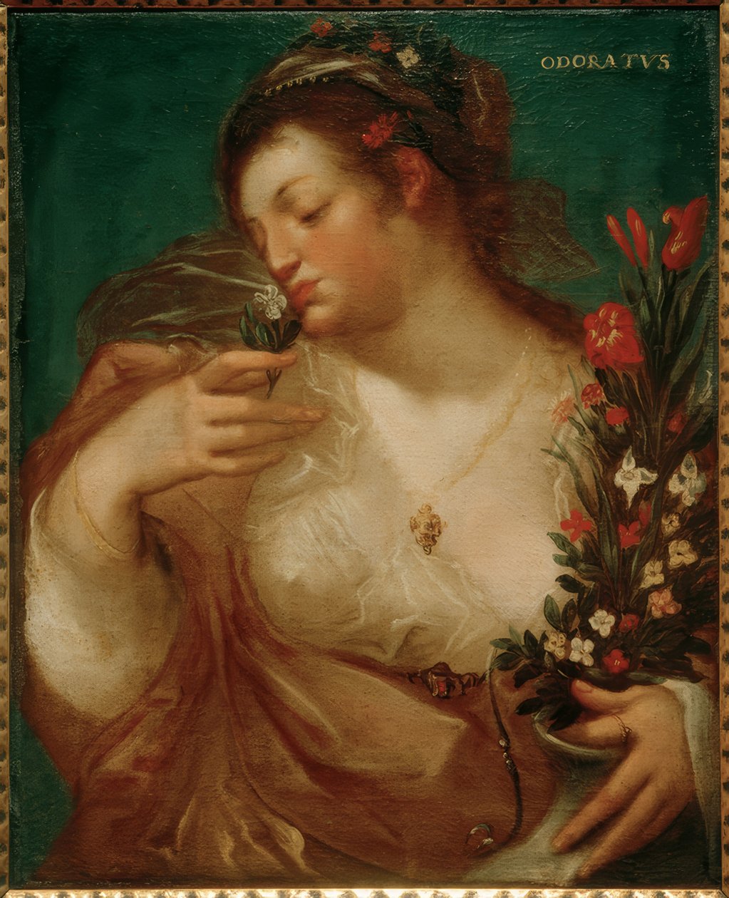 cheirando de Geldorp Gortzius