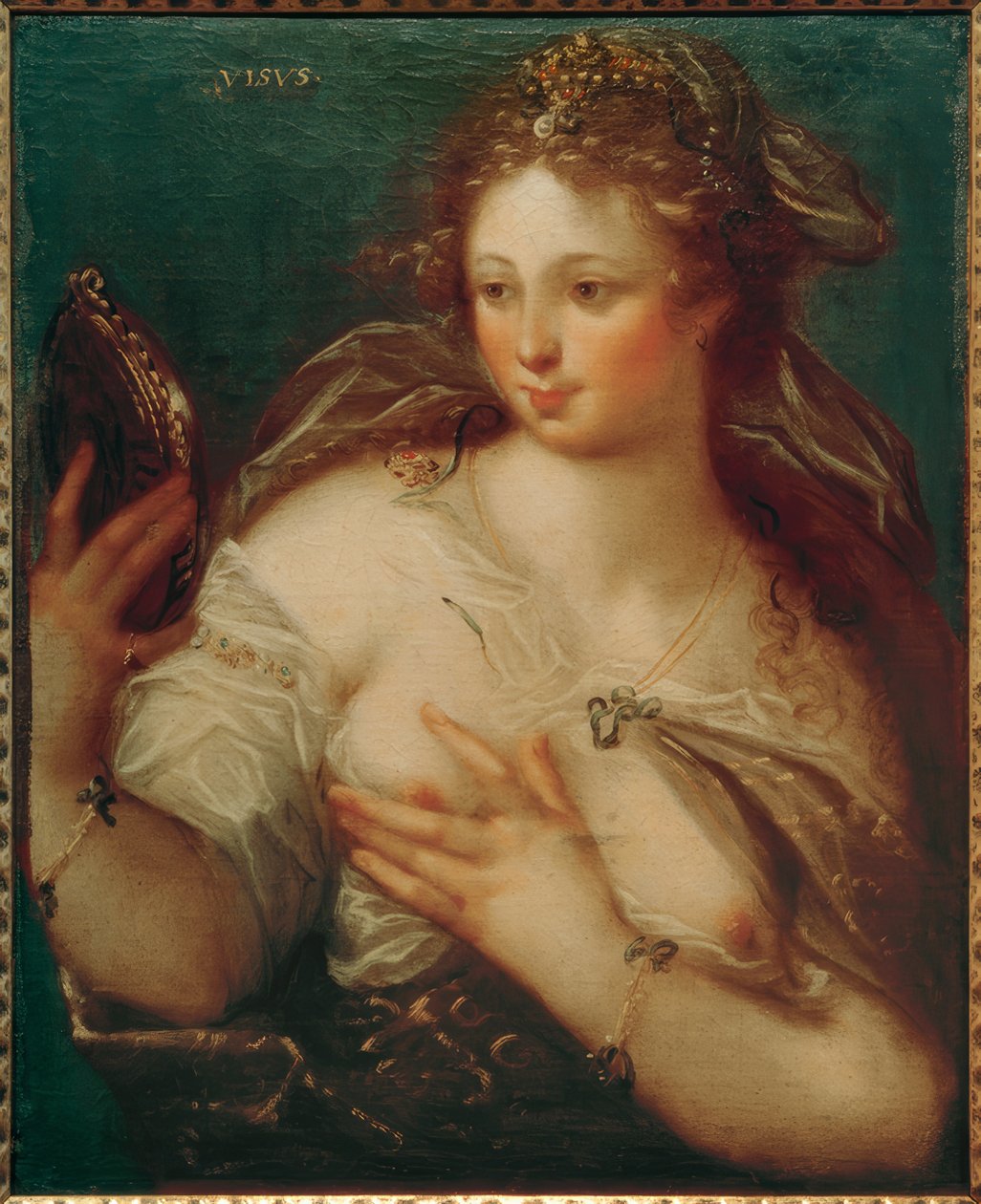 Tudo de Geldorp Gortzius