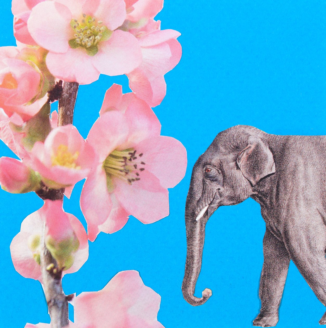 Flor de elefante, 2018, colagem de Genevieve French