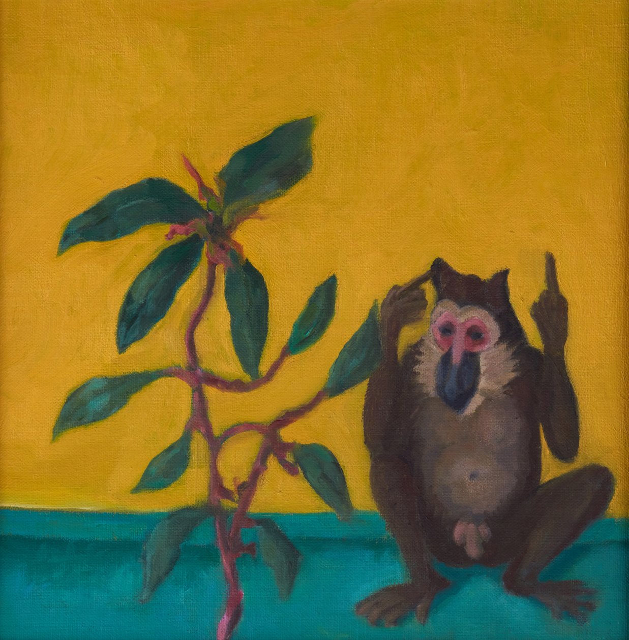 Monkey says No, 2024 (óleo sobre tábua) de Genevieve French