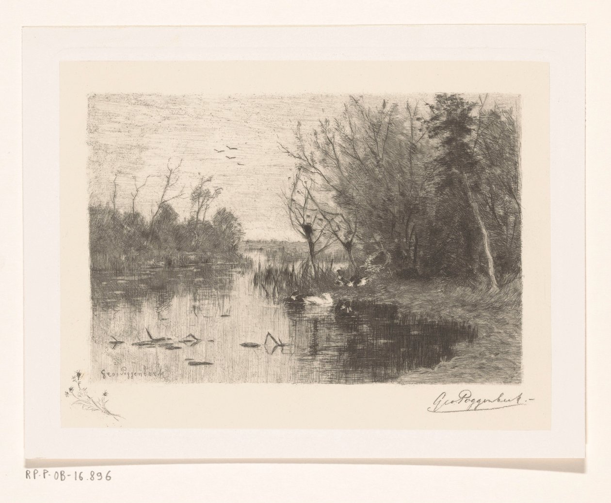 Patos ao longo e na margem de um lago Xixi de pato (título original) de Geo Poggenbeek (signed by artist)