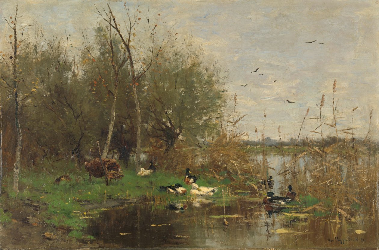 Patos ao lado de um abrigo de patos numa vala de Geo Poggenbeek
