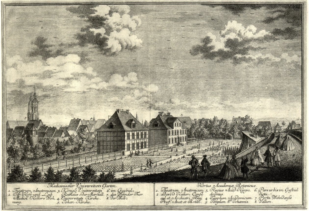 Jardim Botânico Antigo de Goettingen de Georg Daniel Heumann