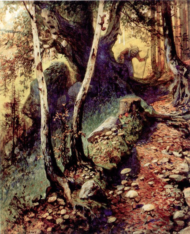 Cogumelos de caça na floresta velha de Georg Janny