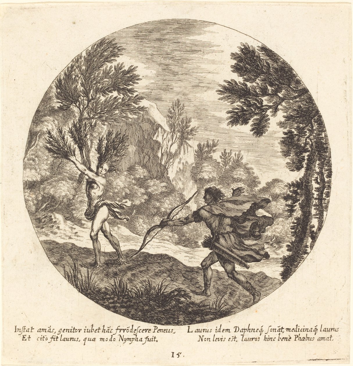 Daphne virando uma Laurel de Georg Andreas Wolfgang the Elder