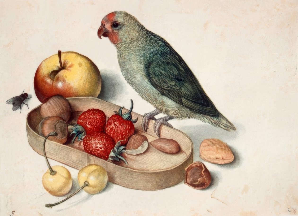 Natureza morta com papagaio-anão de Georg Flegel