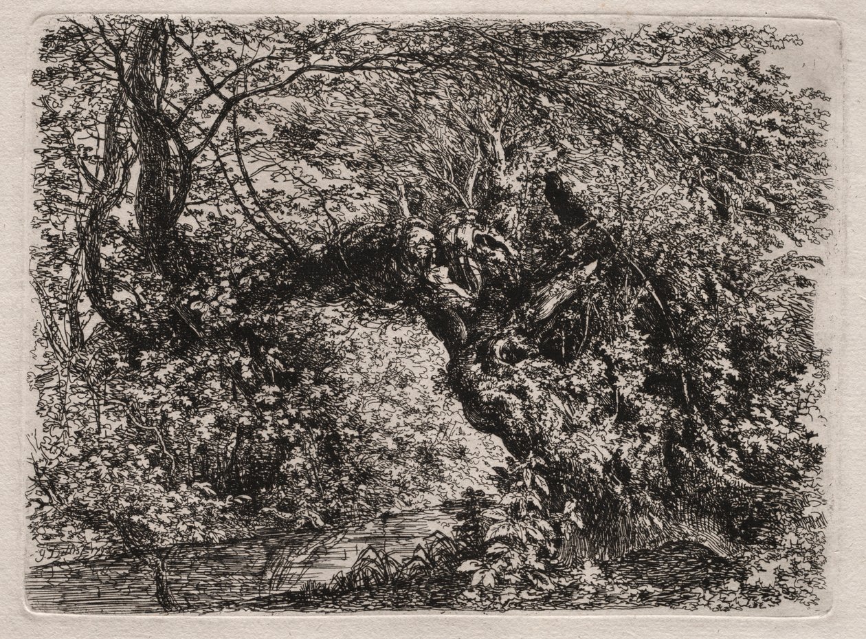 The Old Willow at a Brook, 1794. de Georg von Dillis
