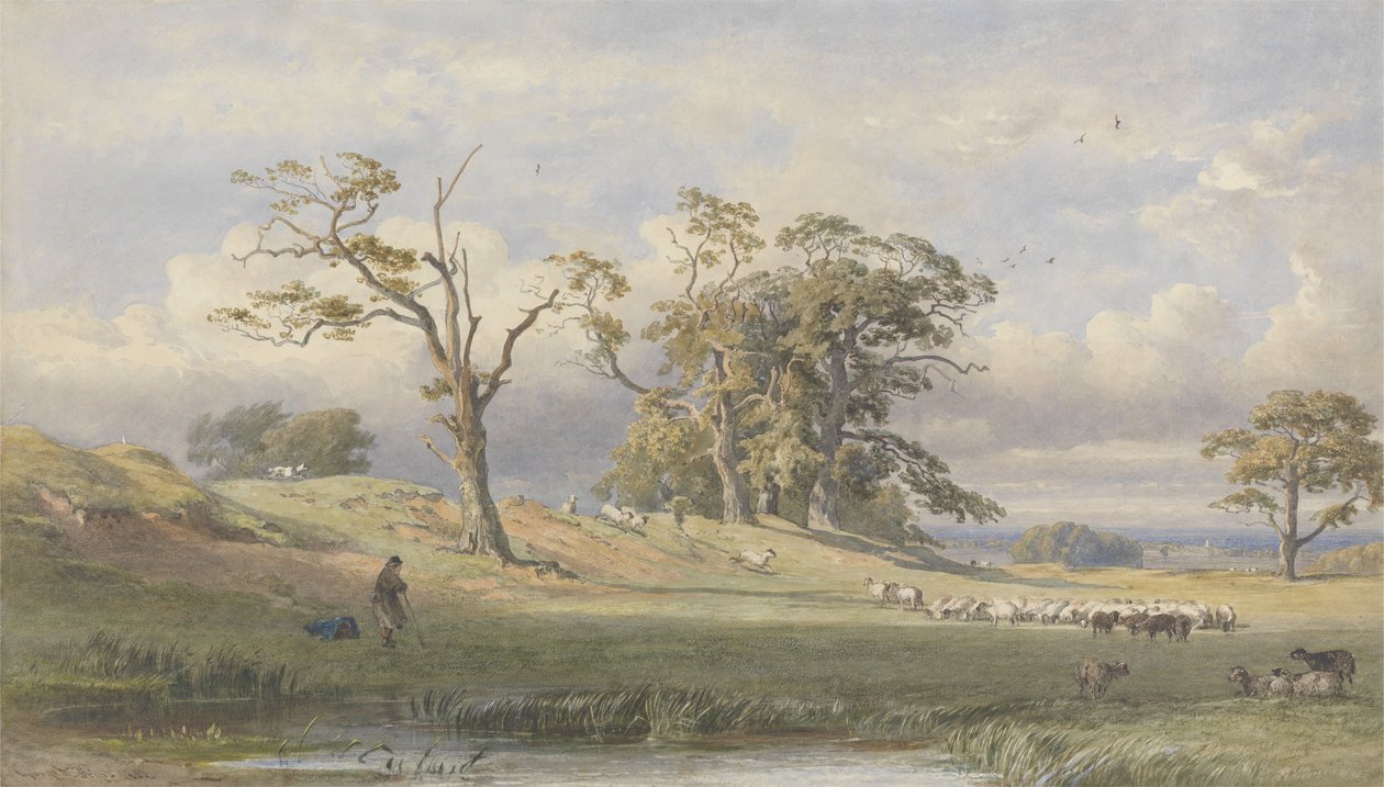 Antigo Acampamento Britânico em Bulstrode Park, 1860 (wc sobre grafite sobre papel) de George Arthur Fripp