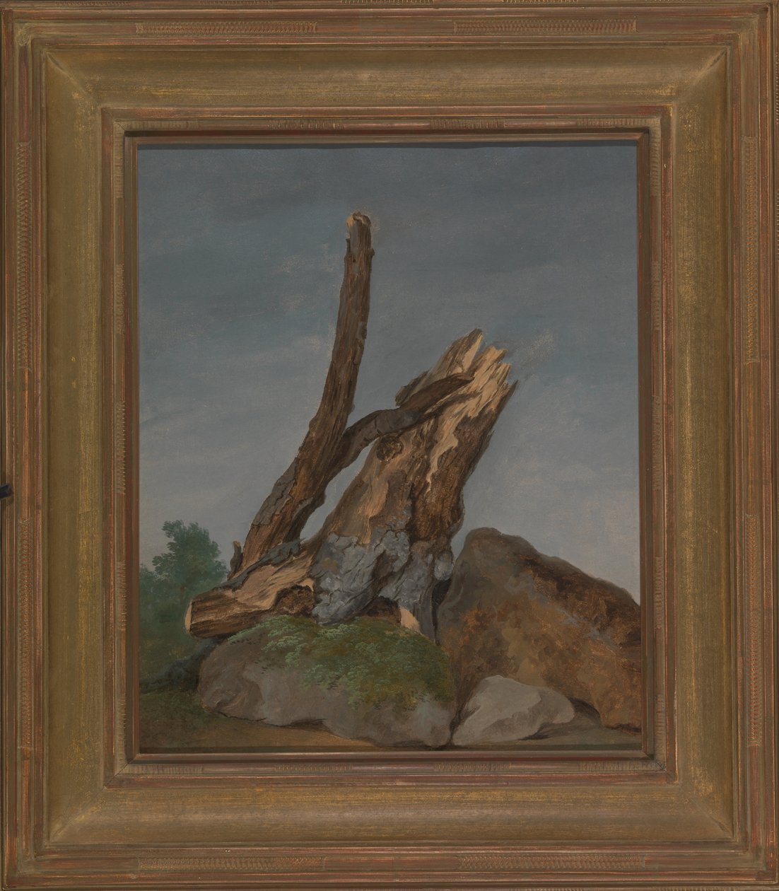 Estudo de Rochas e Ramos de George Augustus Wallis