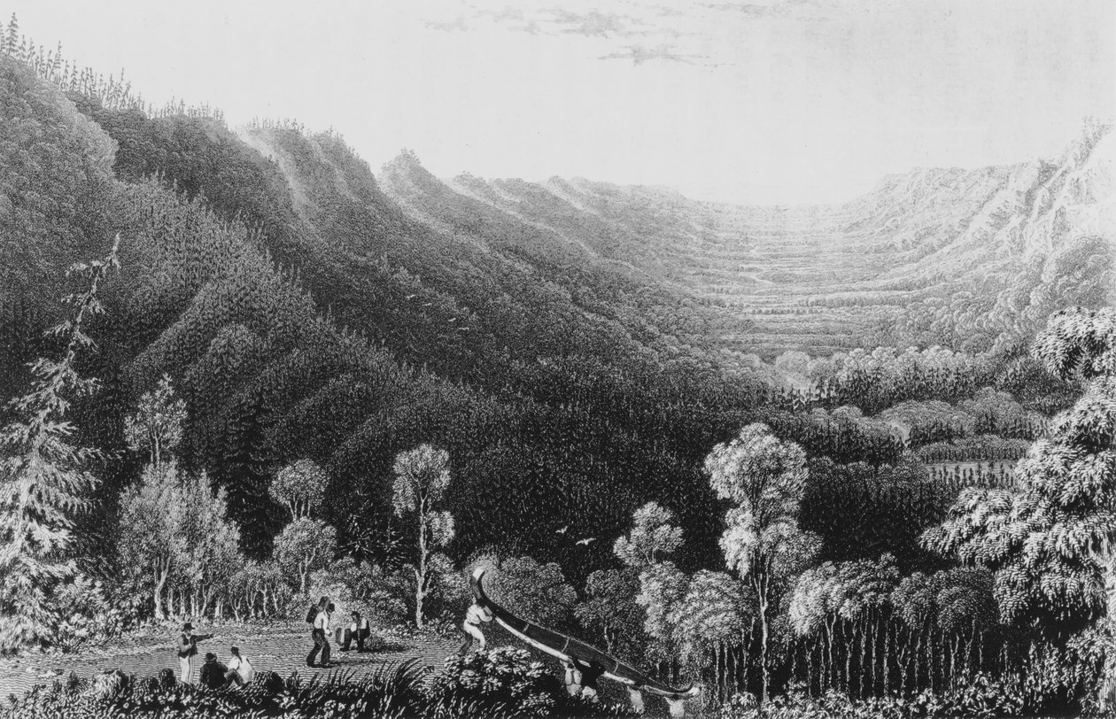 Vale do rio Clearwater da Portage Methye, 1828 de George Back