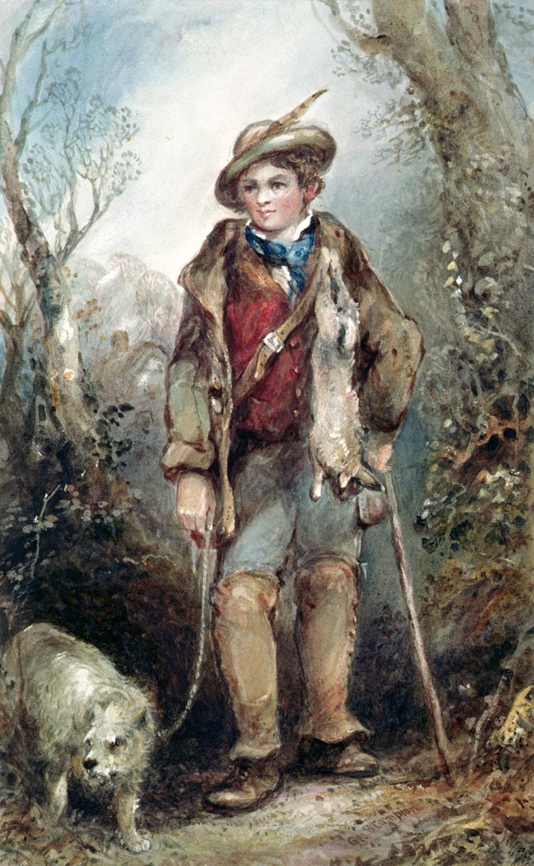 Menino com coelhos de George Bryant Campion